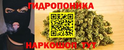 каннабис Берёзовский