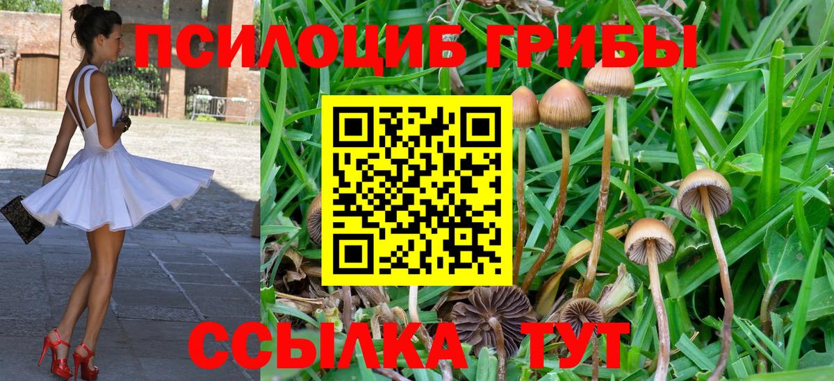 Галлюциногенные грибы мухоморы Великий Устюг
